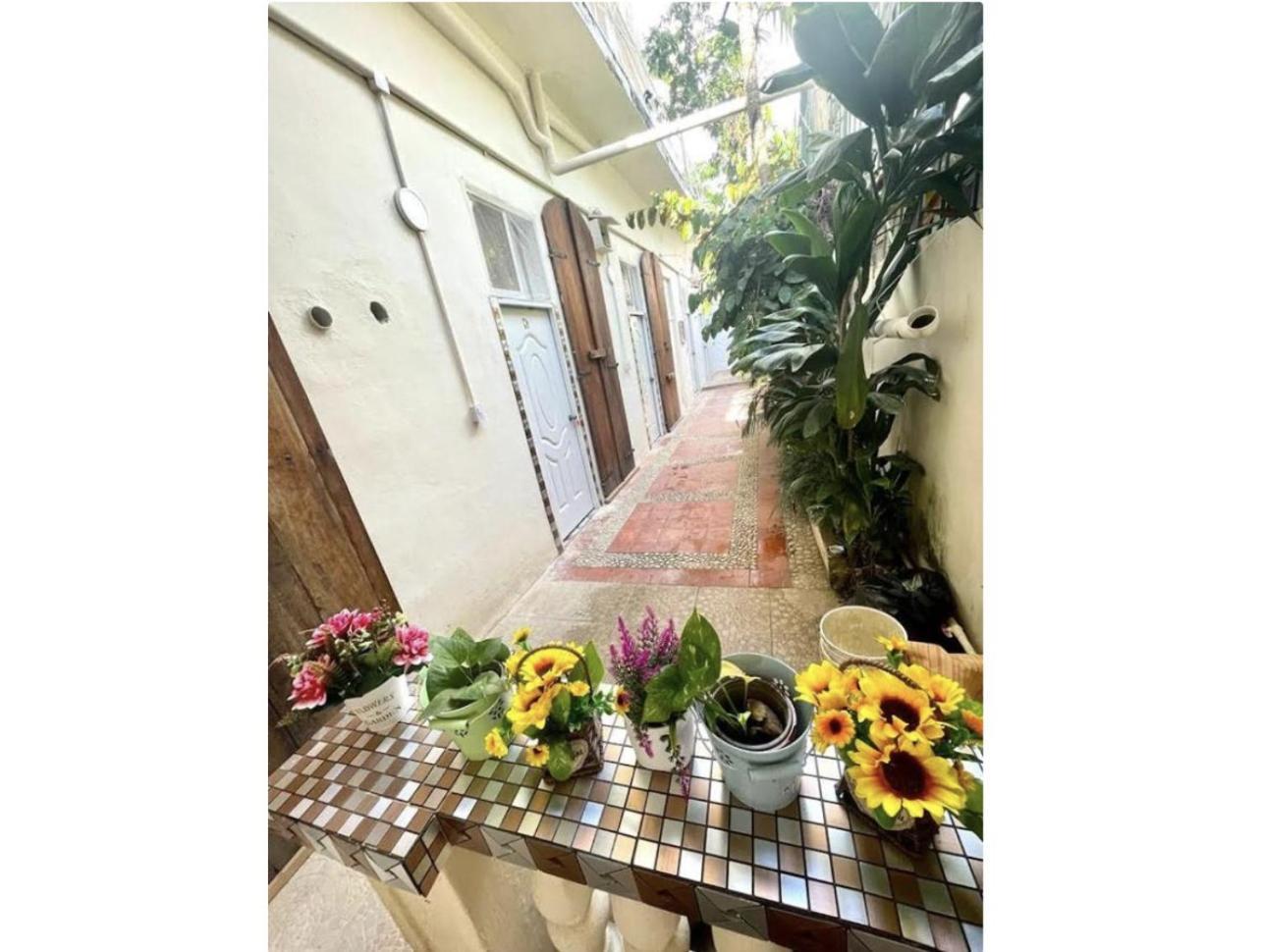 Hostel El Espanol سانتو دومينجو المظهر الخارجي الصورة
