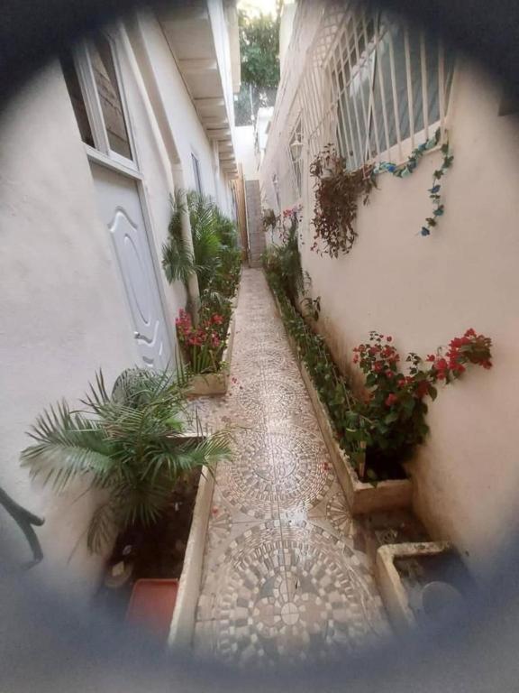 Hostel El Espanol سانتو دومينجو المظهر الخارجي الصورة